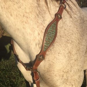 Teal head stall and breast collar